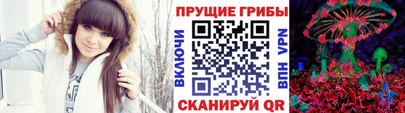 Псилоцибиновые грибы ЛСД Бавлы